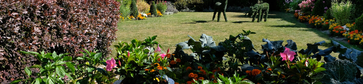 Bon cadeau Repas gastronomiques Neufchâtel-sur-Aisne
