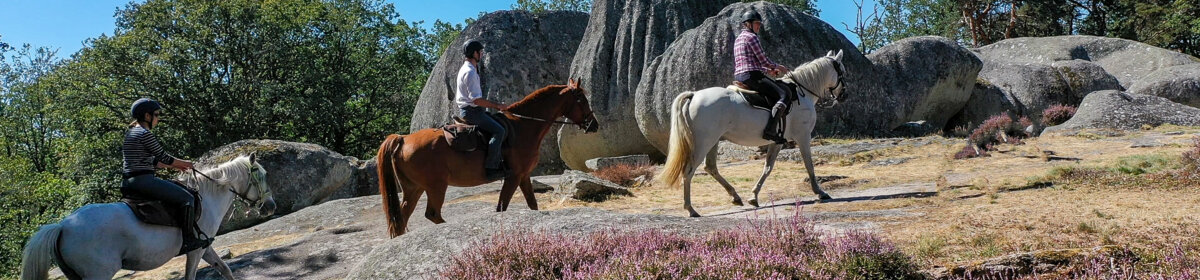 Bon cadeau Activités natures Domeyrot