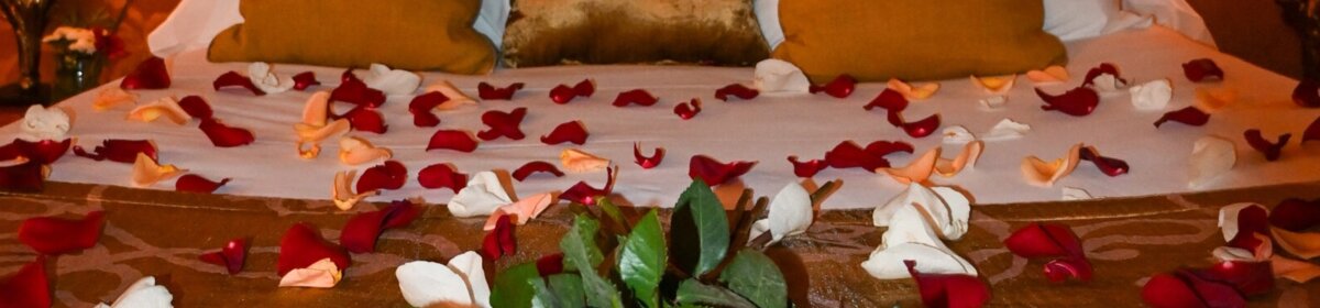 Bon cadeau Séjours en chateau BORT-L-ETANG