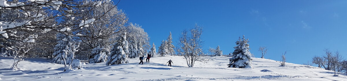 Bon cadeau Activités natures Les Moussières
