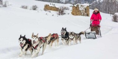 Bon cadeau Chiens de TraineauxLa Clusaz