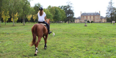 Bon cadeau ÉquitationPlaisir