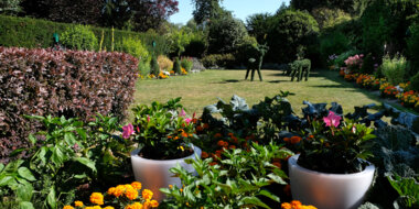 Bon cadeau Repas gastronomiquesAisne