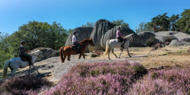 Bon cadeau ÉquitationCreuse