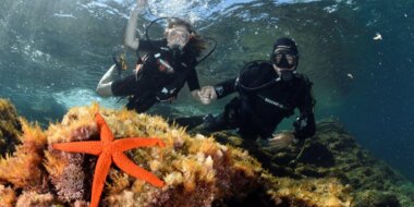 Bon cadeau PlongéeSanta-Maria-Poggio