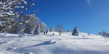 Bon cadeau Balade & RandonnéeBourgogne-Franche-Comté