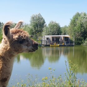 Bon cadeau Séjours romantiquesBourgogne-Franche-Comté