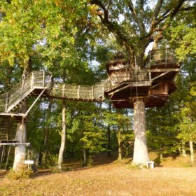 Bon cadeau Cabane dans les arbres Bordeaux