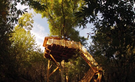 Notre sélection de 8 cabanes dans les arbres pour passer un moment inoubliable