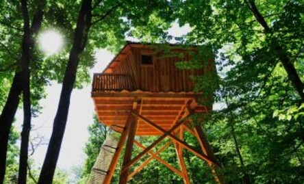Passez une nuit de cabane dans les arbres en Bretagne !