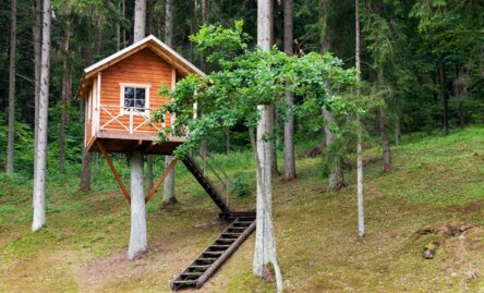Où peut-on dormir dans les arbres ?