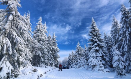 6 idées cadeaux à la montagne