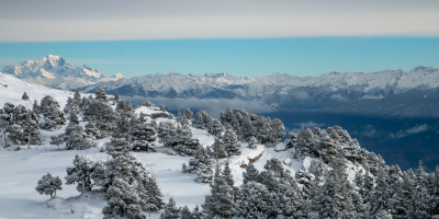 WEEK-END EN CHARTREUSE