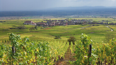 Séjour Alsace