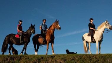 Balade à cheval 1h30