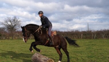 Cours particulier d'équitation 1h