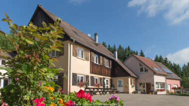De la sérénité dans les Vosges.