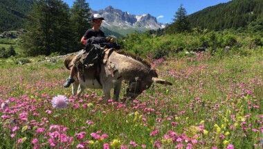 escapade en famille