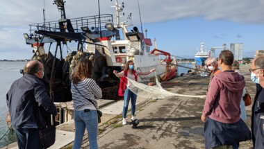 Circuit portuaire "La marée du jour". Visite du port de pêche de Lorient