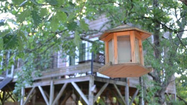 Séjour dans une cabane perchée dans les arbres