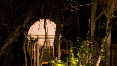 Séjour dans une bulle suspendue dans les arbres