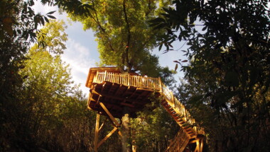 Bon cadeau 2 nuits en cabane escalier pour deux personnes