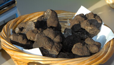 A LA POURSUITE DU DIAMANT NOIR EN BUGEY (Ain)