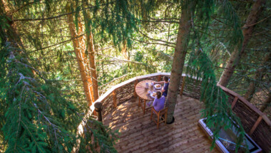 Une nuit dans la cabane nid