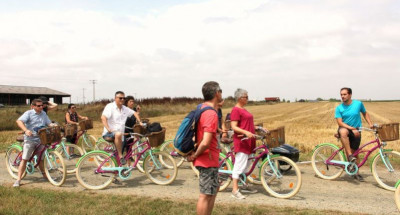 Balade à vélo guidée du Houblon Sauvage avec dégustation de bière - 1/2 Journée