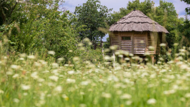 Nuit Famille en semaine dans la cabane de la Palombière