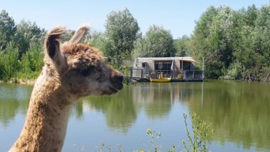 Nuit insolite en lodge avec spa pour une occasion spéciale !