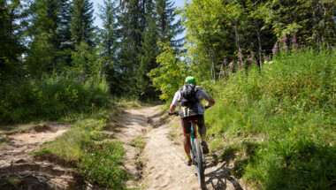 Location de VTT/ VTC autour du lac d'Annecy