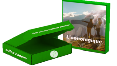 e-box Segway oenologique (temps 6h00)