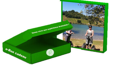 e-box Segway 2h00