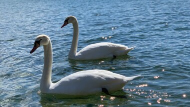 Week-end romantique