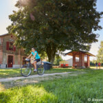 Location de vélos éléctriques -  2h00