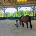 Découverte de soi avec l'aide du cheval, 1h
