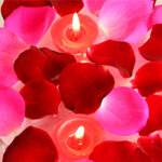 Lancer de petales de rose