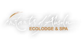 instants d'Absolu Logo