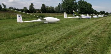 Avat image 1