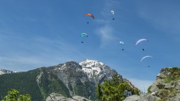 Pollen Parapente image 1
