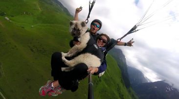 Briancon Parapente image 1