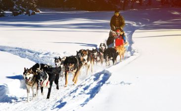Activ'Annecy image 1