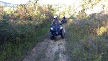 AMAROK RIDE image 5