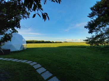 L'orée des champs image 4
