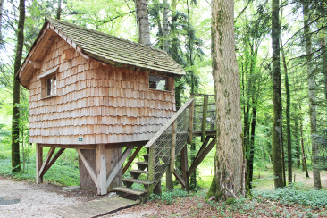 Domaine de Syam image 5