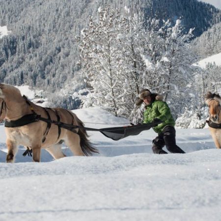 Initiation Ski Joëring Deux personnes