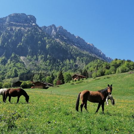 Balade 1h été