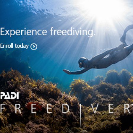 Formation Freediver (Apnée)