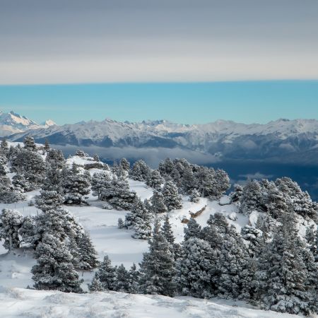 WEEK-END EN CHARTREUSE